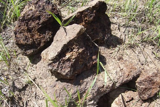 Болотная руда